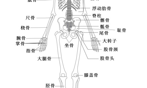 中药肝损害早期表现网 - 网站提供中药肝损害早期表现是什么小常识、中药引起肝损害的临床表现